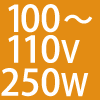 100`110V 250W