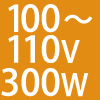 100`110V 300W